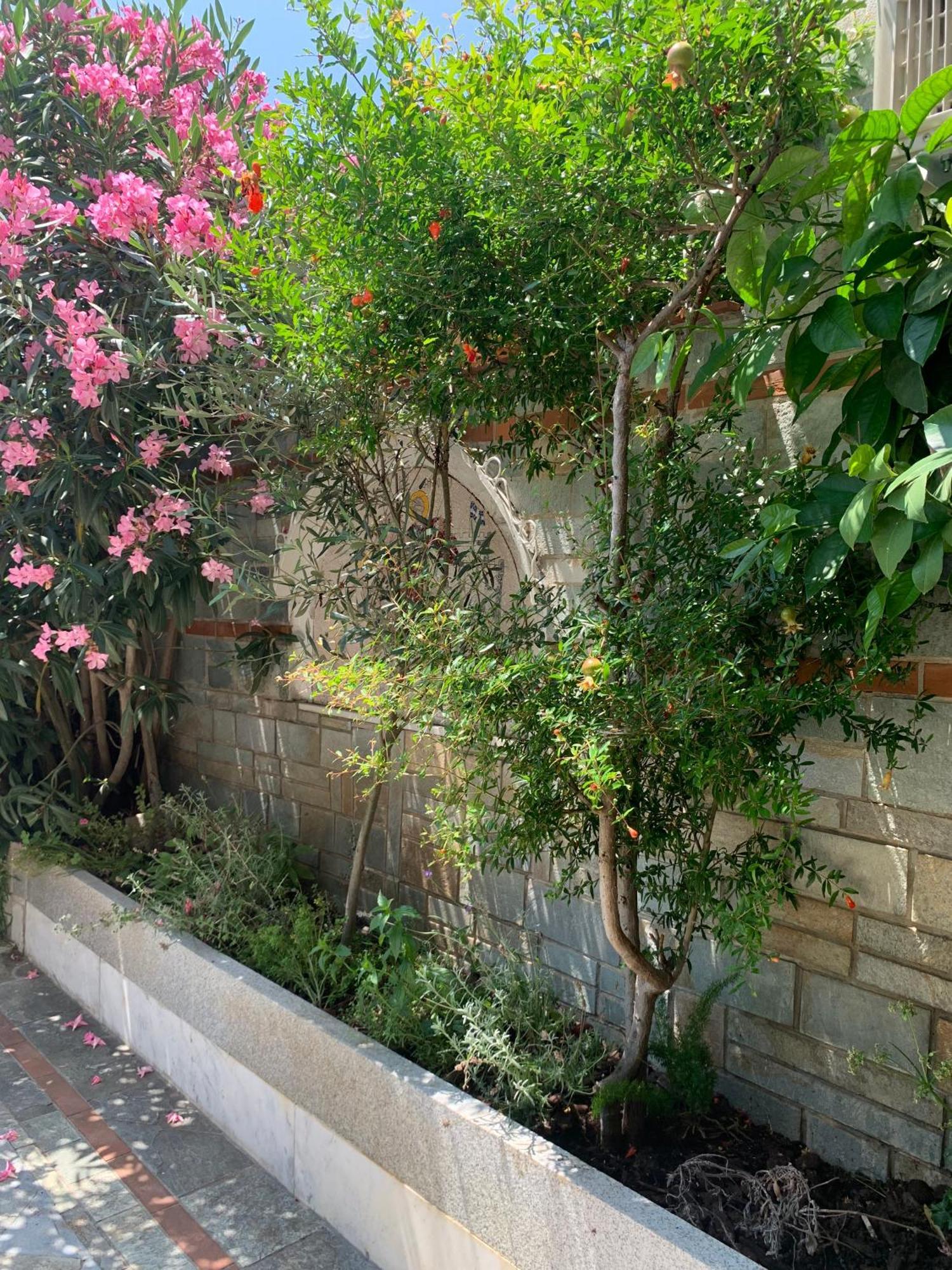 Gemuetliches Appartement In Ano Poli Tesalonika Bagian luar foto