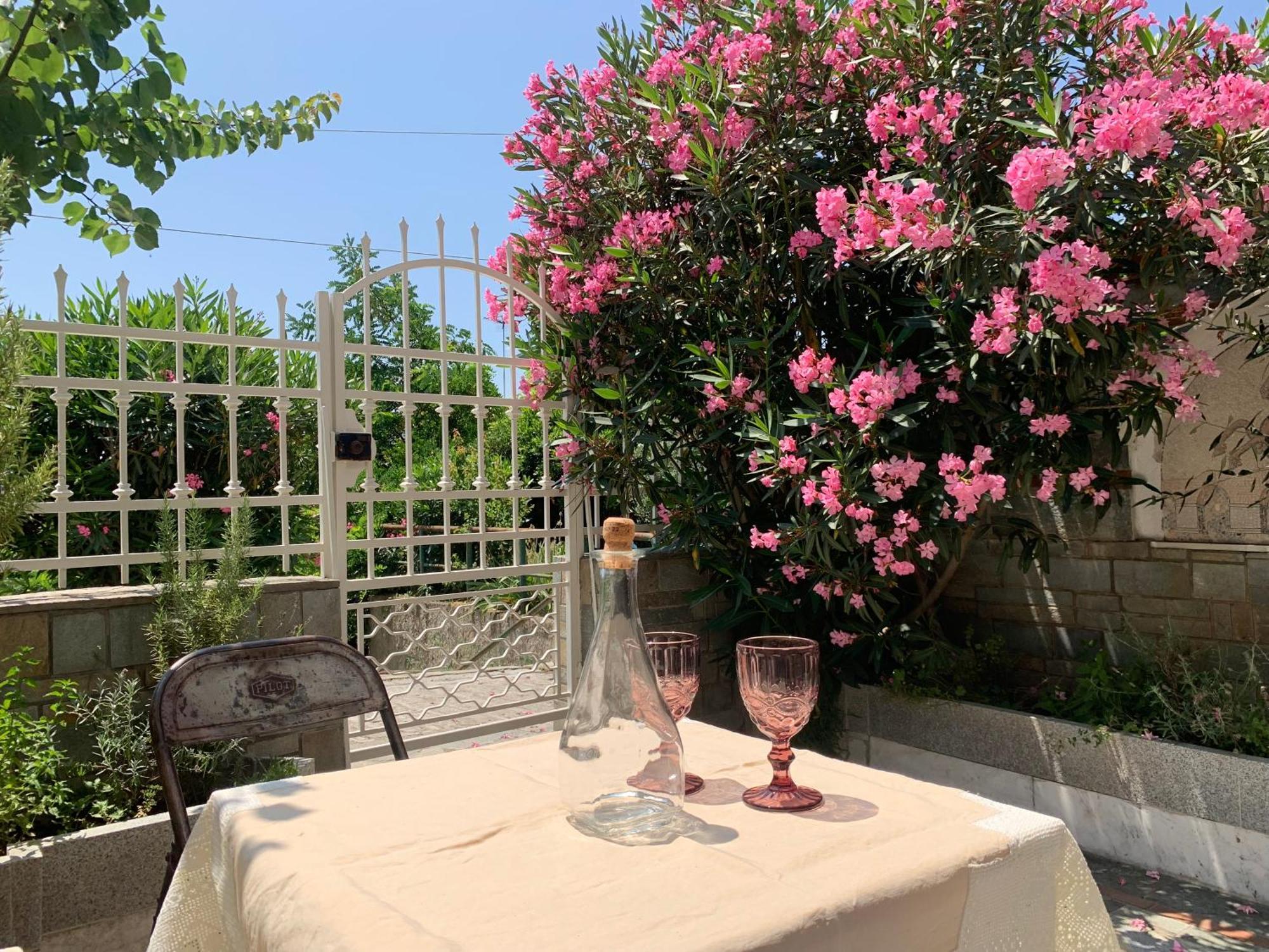 Gemuetliches Appartement In Ano Poli Tesalonika Bagian luar foto