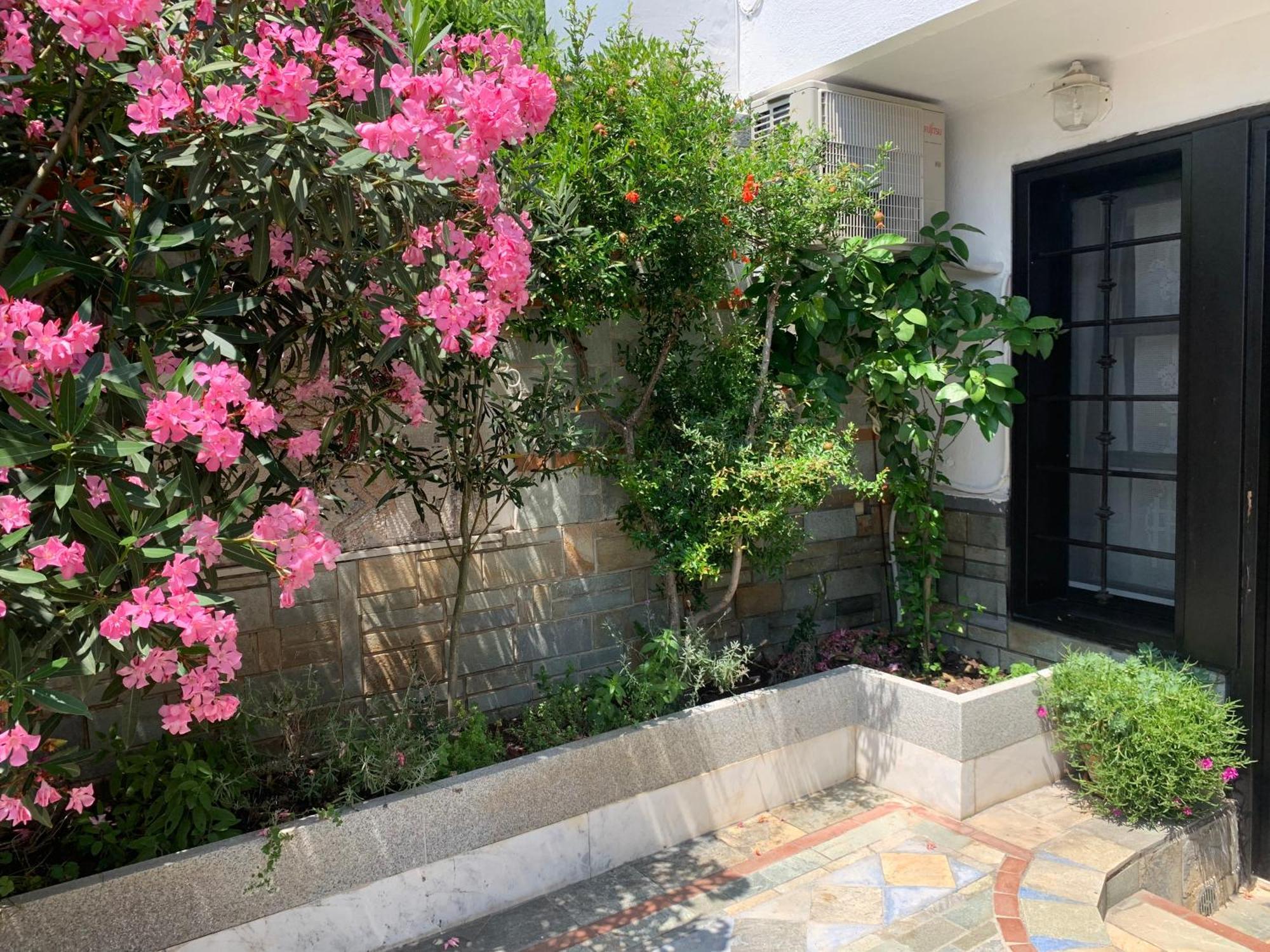 Gemuetliches Appartement In Ano Poli Tesalonika Bagian luar foto